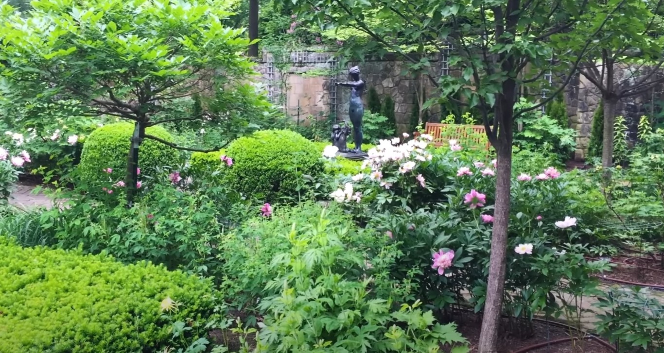 Tree & Shrub Care service in La Mirada, CA